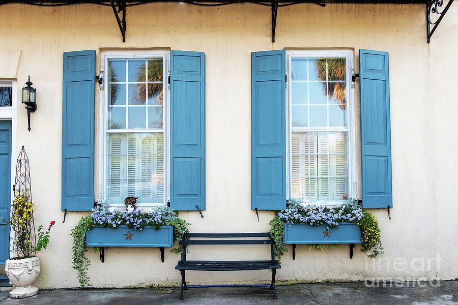 Charleston Windows Photograph by Nicki McManus
