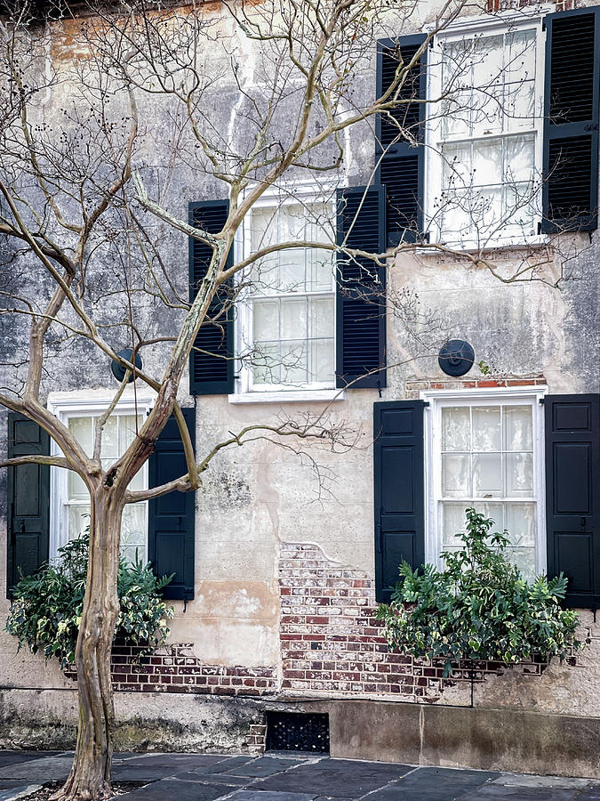 Charleston Windows, South Carolina Photograph by Dawna Moore Photography