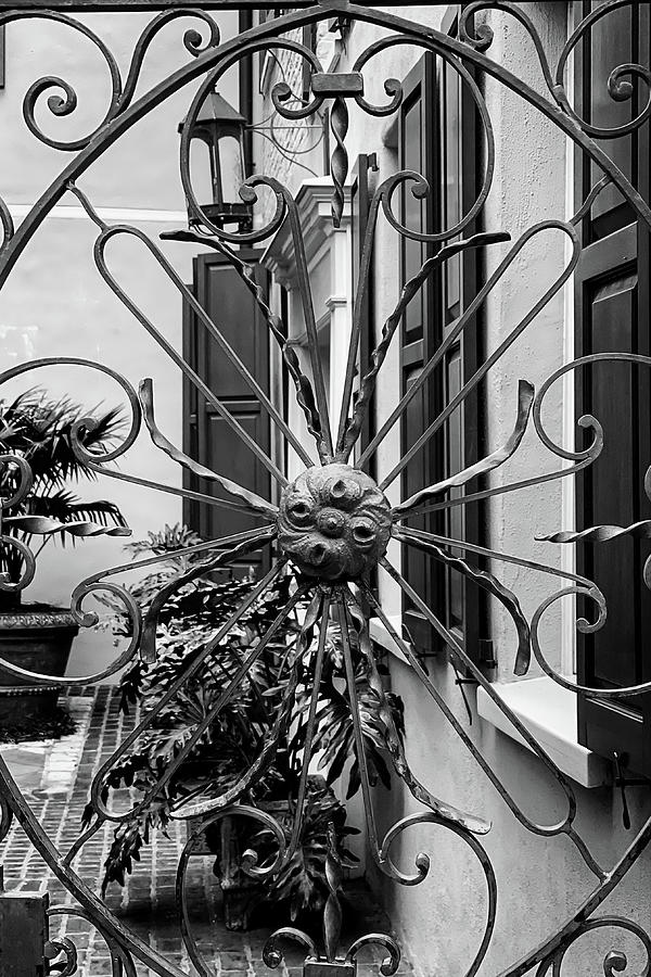 Charleston Wrought Iron Garden Gate in Detail, South Carolina Photograph by Dawna Moore Photography