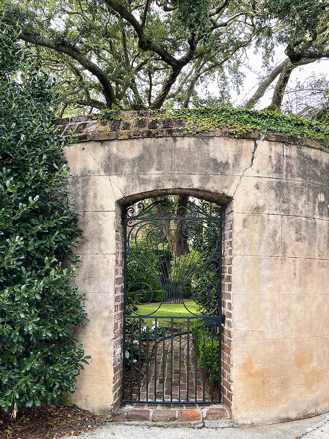 Charleston Wrought Iron Garden Gate, South Carolina Photograph by Dawna Moore Photography