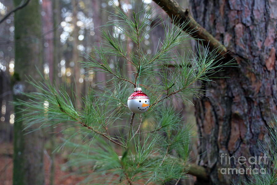 Charlie Brown Christmas Tree 9463 Photograph by Jack Schultz