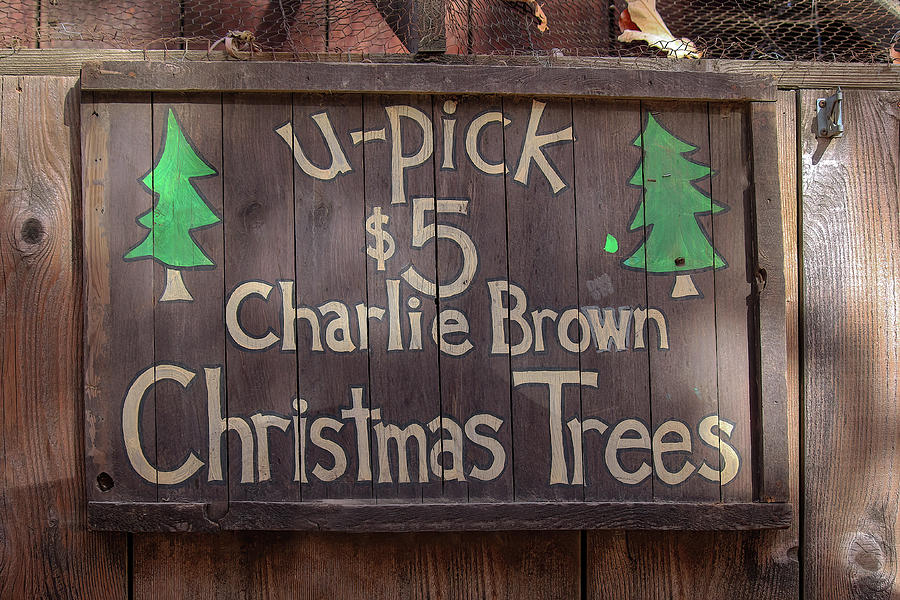 Charlie Brown Christmas Trees Photograph by Art Block Collections ...