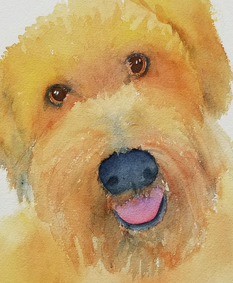 Charlie Painting by Judy Mercer