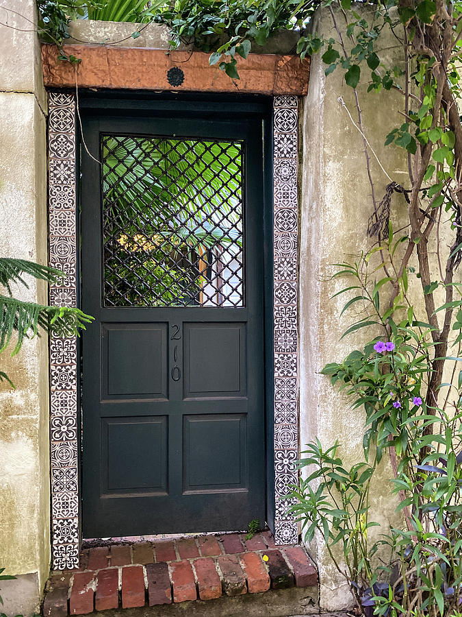 Charlotte Street Garden Gate, St. Augustine, Florida Photograph by Dawna Moore Photography