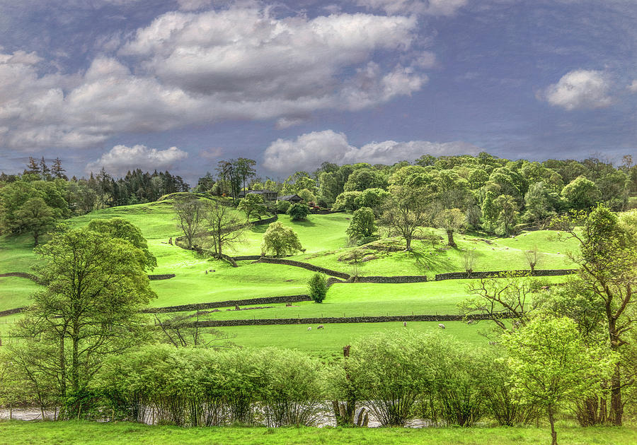 Charm and Beauty in Englands Lake District Photograph by Marcy Wielfaert
