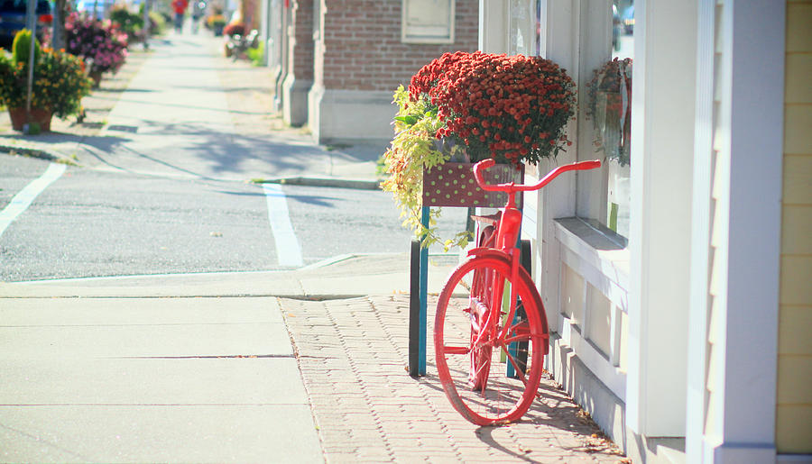 Charming Red Bicycle Photograph by Photography by Sarah N. Sonenberg
