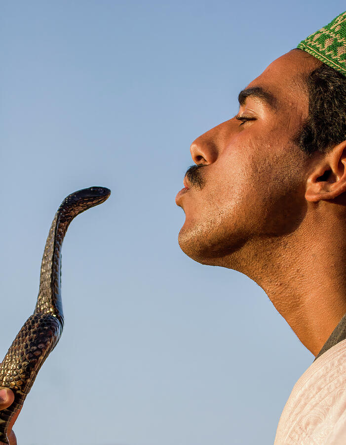 Charming the Cobra Photograph by Bill Chardon Charming the Cobra Photograph by Bill Chardon