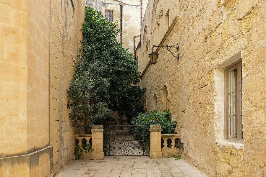 Charming Walled Garden - Gallivanting Around Mdina The Silent City In Gozo Malta Photograph