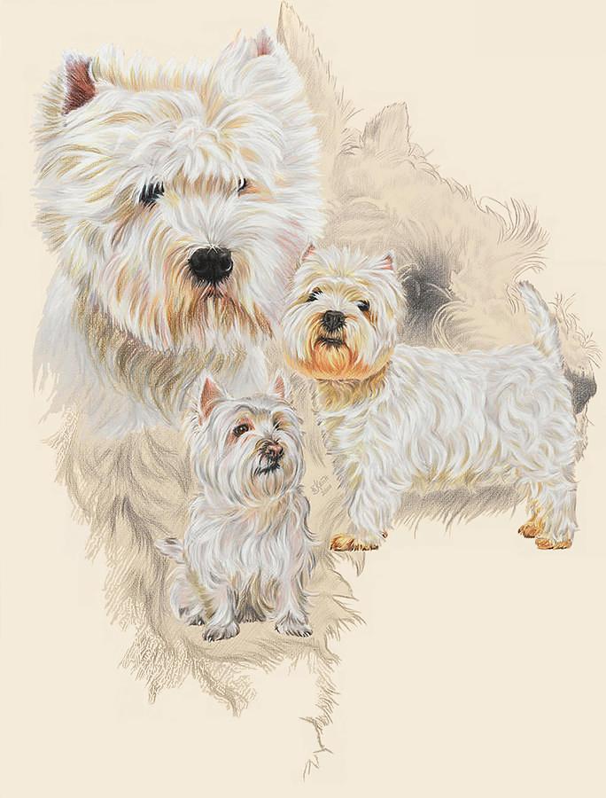 Charming Westie Revamp Mixed Media by Barbara Keith