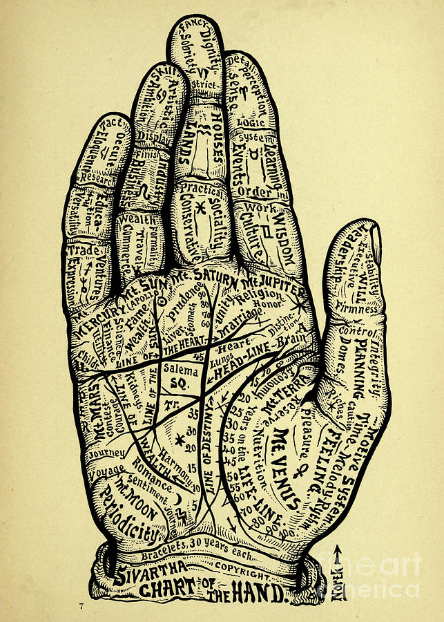 Chart of the Hand Drawing by Random Goodness - Fine Art America