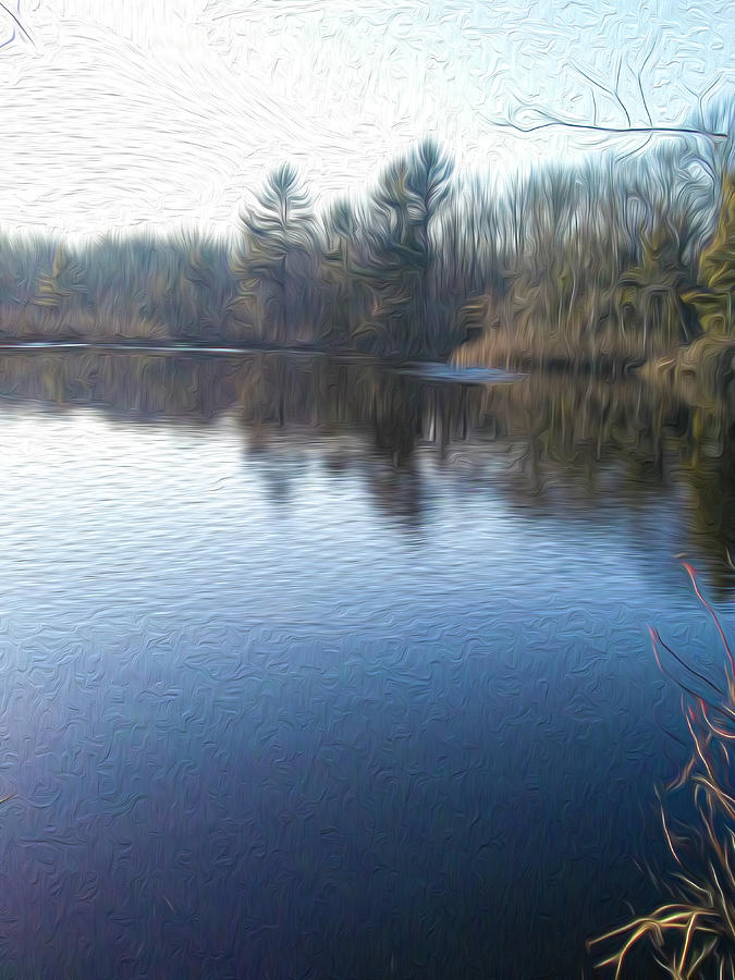 Chartley Brook Pond, Attleboro, MA Photograph by Mary Poliquin - Policain Creations