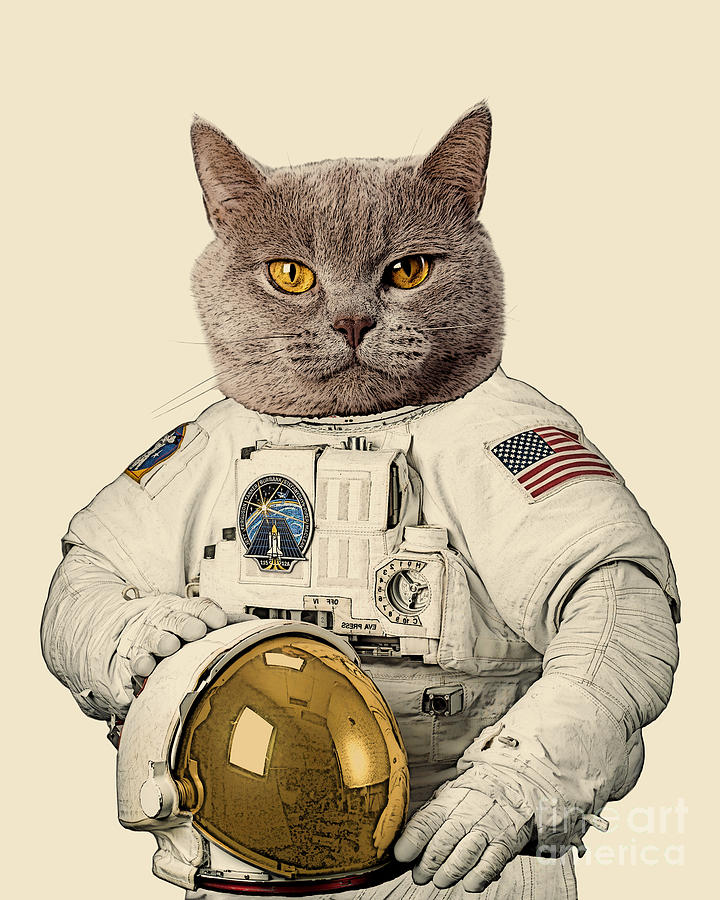 Chartreux cat portrait Digital Art by Madame Memento