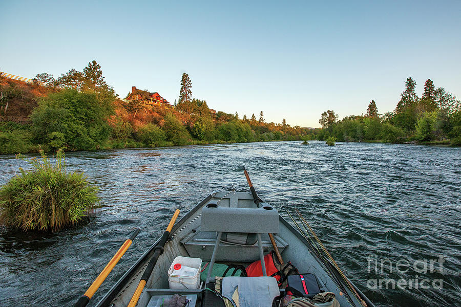 Chasing Steelhead on the Rogue River Photograph by Scott Pellegrin