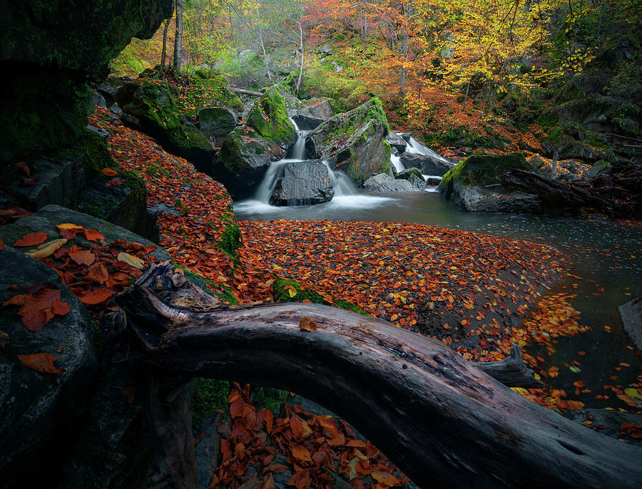 Chasing Waterfalls Photograph By Cosmin Stan Fine Art America