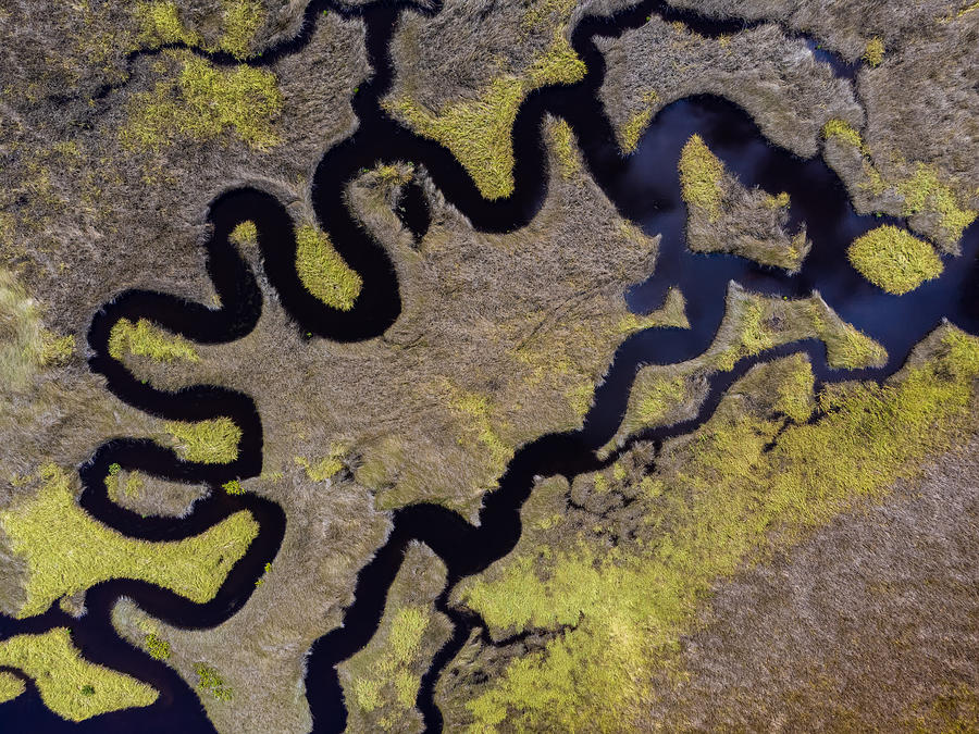 Chassahowitzka River Aerial Photograph by Charles LeRette