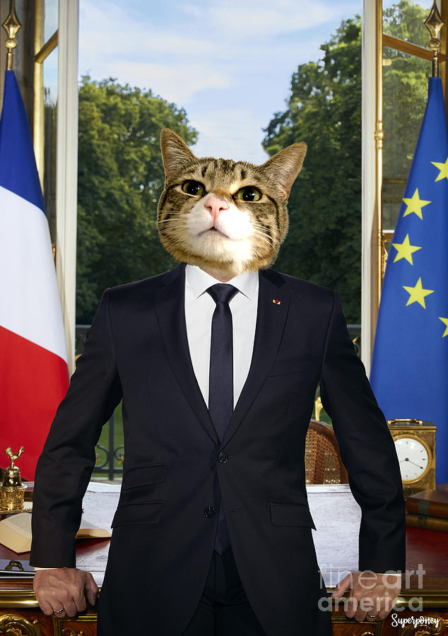 Chat President Digital Art By Superponey