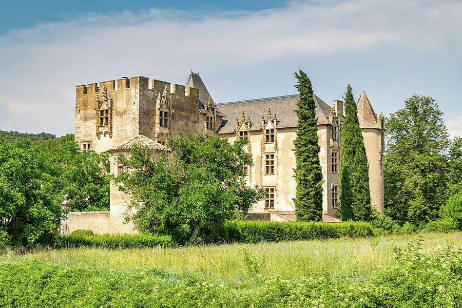 Chateau Dallemagne En Provence Photograph
