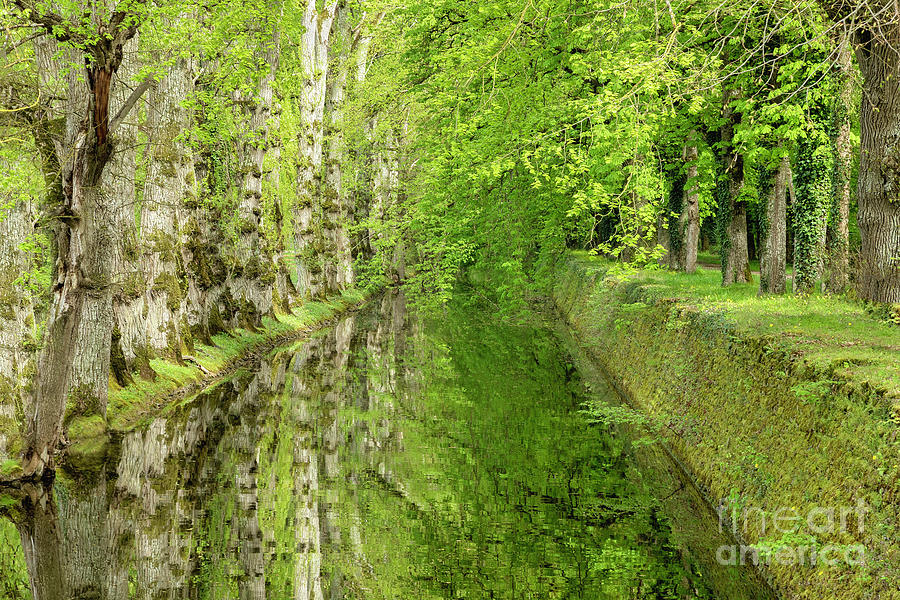 Chateau de Chenonceau mirrored trees Photograph by Julia Hiebaum