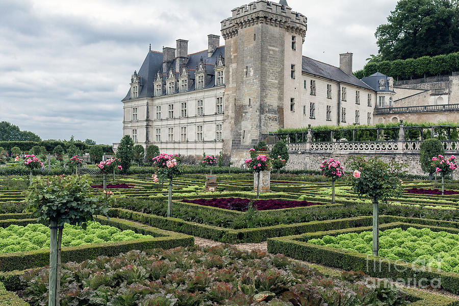 Chateau de Villandry, Loire Valley, France Photograph by Elaine Teague