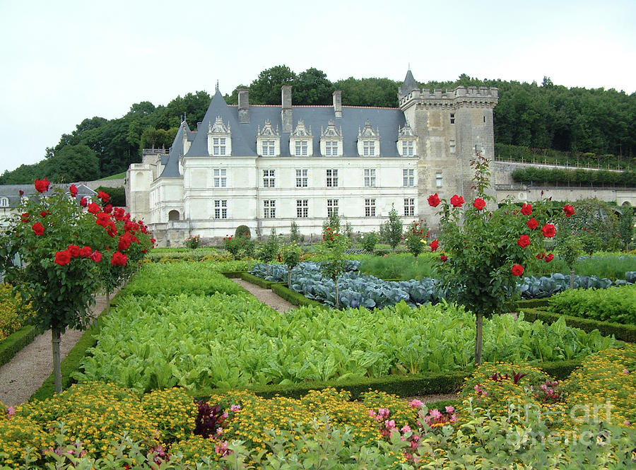 Chateau Villandry - Loire Digital Art by Joseph Hendrix
