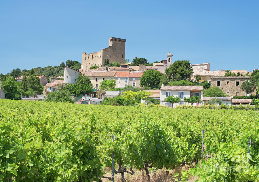 Chateauneuf du Pape Photograph by Bryan Attewell