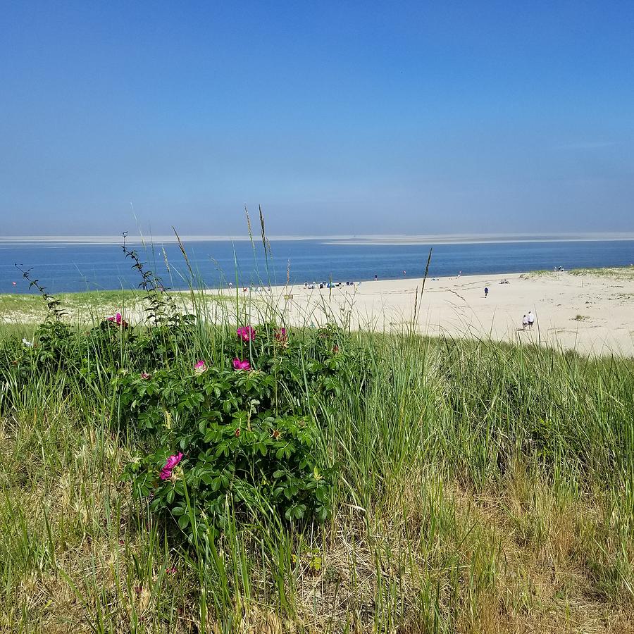 Chatham Lighthouse Beach Photograph by Delsea Haskins | Fine Art America