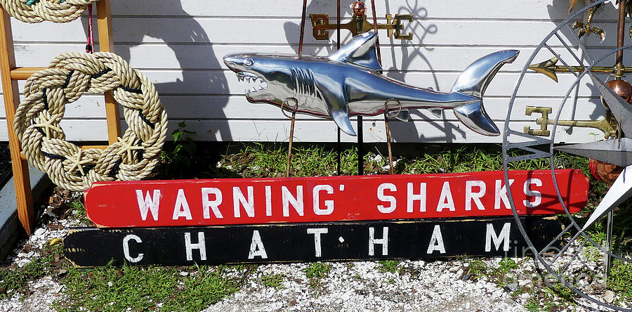 Chatham Shark Warning Photograph by Sharon Williams Eng
