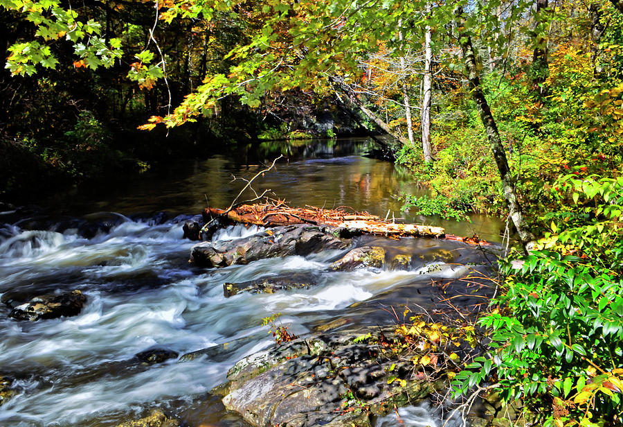 Chattahoochee National Forest - Tallulah River 004 Photograph by George ...