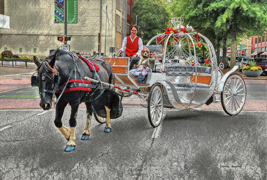 Carriage Rides  Photograph by Dennis Baswell