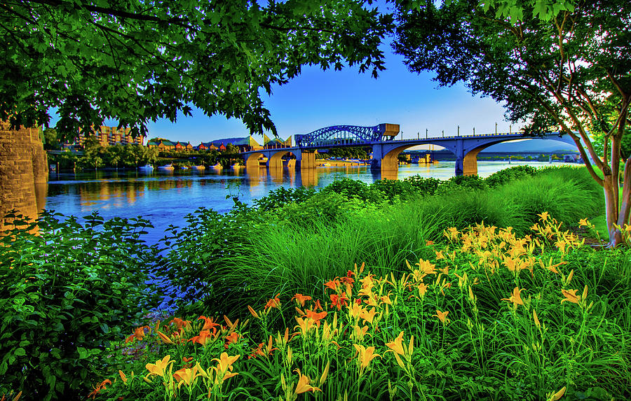Chattanooga In Bloom Photograph by Bobby Ryan Chattanooga In Bloom Photograph by Bobby Ryan