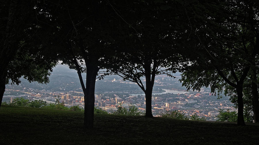 Chattanooga Through the Trees Photograph by George Taylor