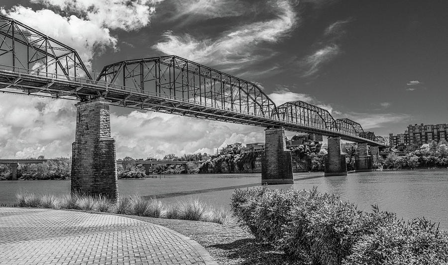 Chattanoogas Walking Bridge in Springtime,  Black and White Photograph by Marcy Wielfaert