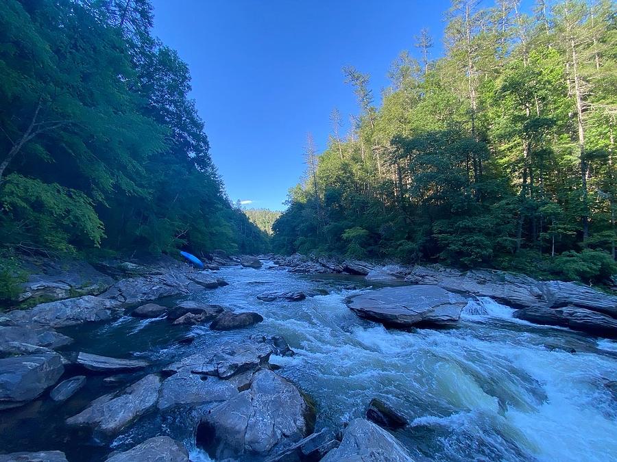 Chattooga Soc Em Dog Photograph by Samuel Dunlap - Fine Art America