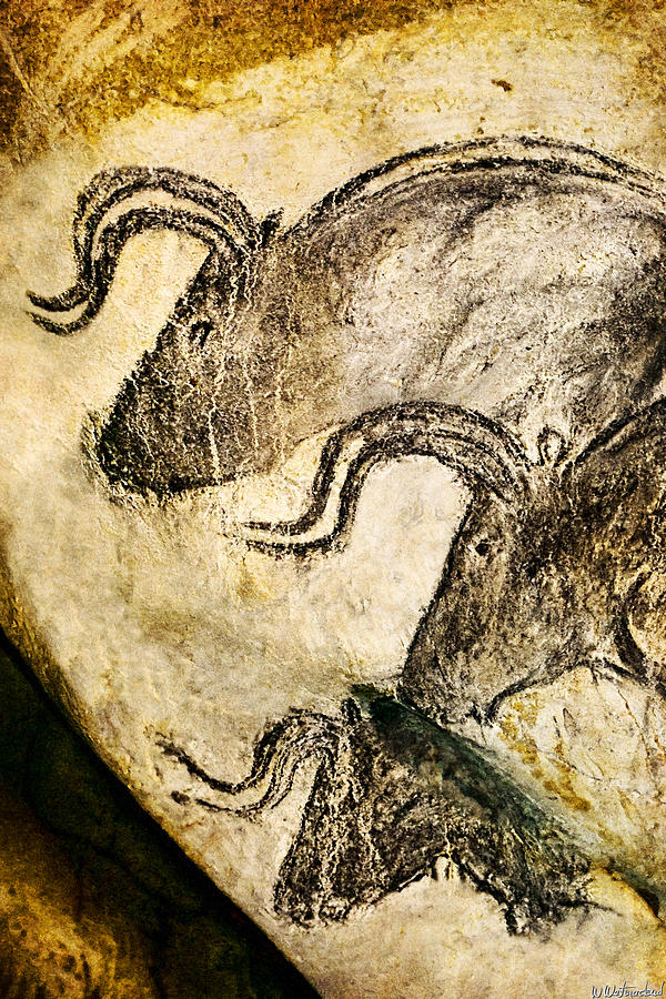 Prehistoric Digital Art - Chauvet - Three Aurochs by Weston Westmoreland