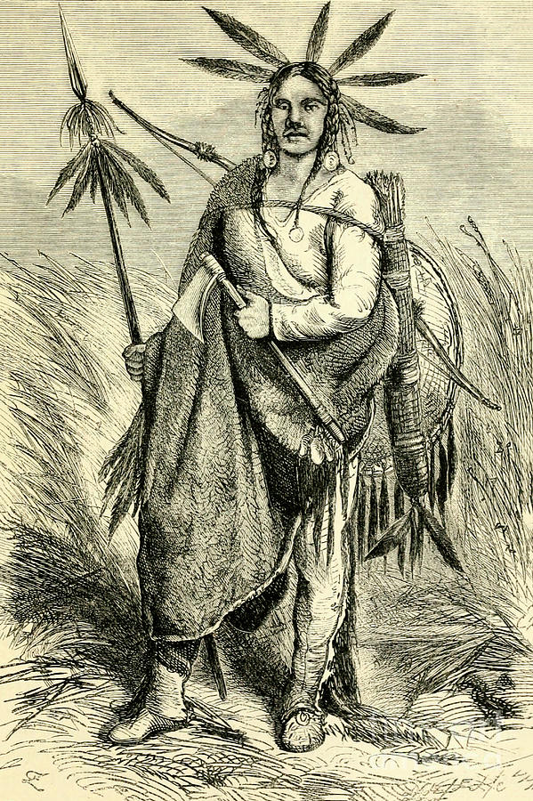 Chayene Shiennes Cheyenne Chief 1872 c1 Drawing by Historic ...