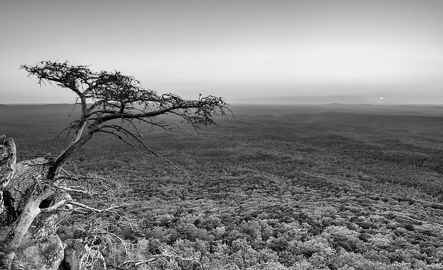 Cheaha Views Black and White Photograph by JC Findley
