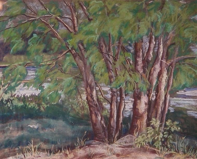 Chebacco Lake Grove  SOLD Painting by Judith Young