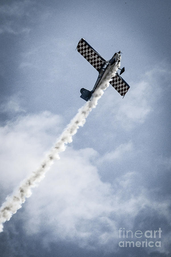 Checker Wings Photograph by Allen Simmons