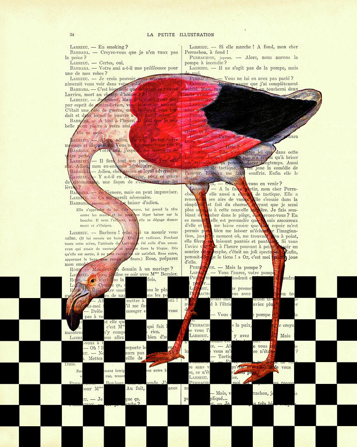 Flamingo Mixed Media - Checkerboard Flamingo by Madame Memento