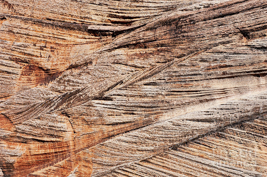 Checkerboard Mesa Rock Design Photograph by Bob Phillips - Fine Art America