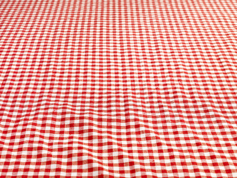 Checkered Tablecloth (Click for more) Photograph by S-cphoto