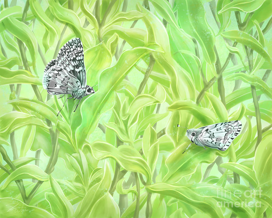 Checkered White Butterflies Mixed Media by Shari Warren
