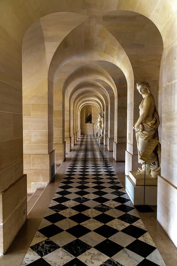 Checkers at Versailles Photograph by John Twynam