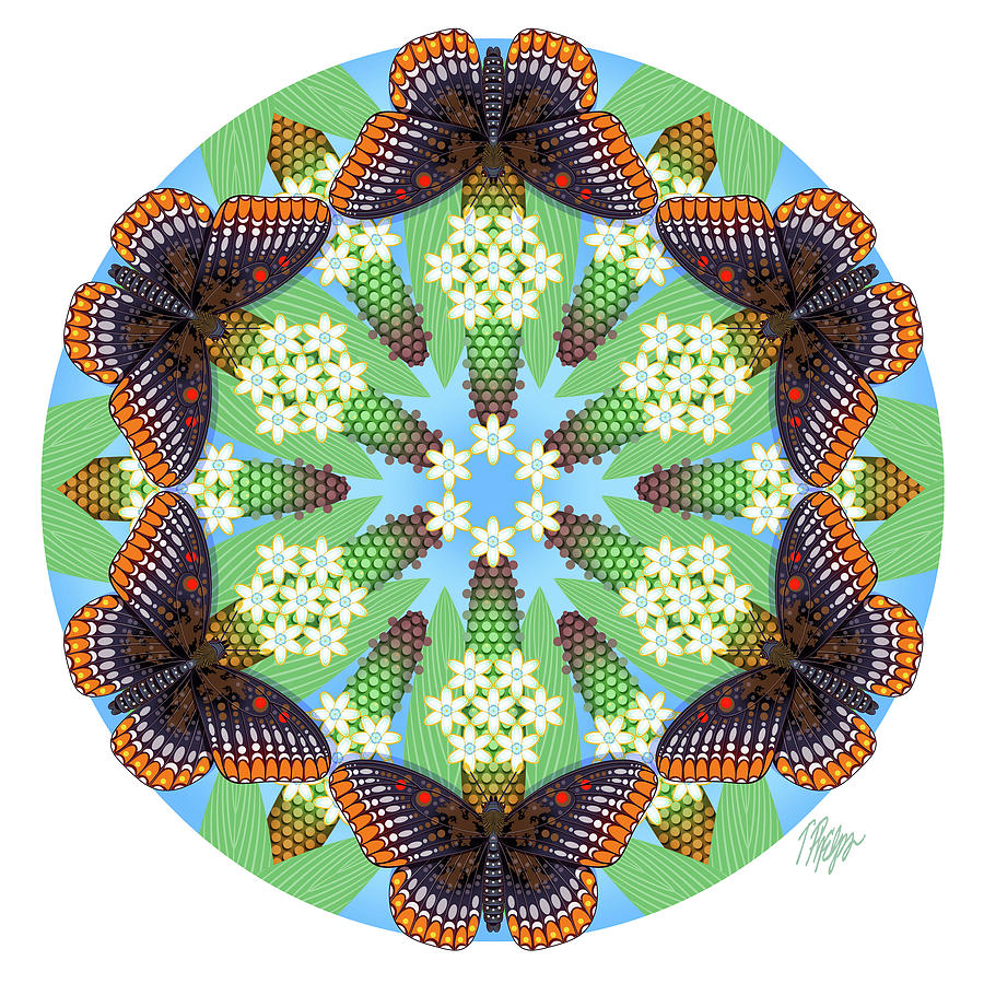 Butterfly Digital Art - Checkerspot Butterfly Plantain Mandala by Tim Phelps