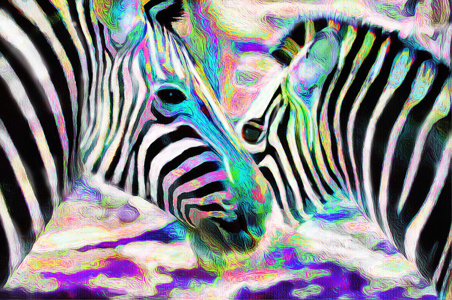 Face Mask Zebra  Photograph by Patricia Dennis