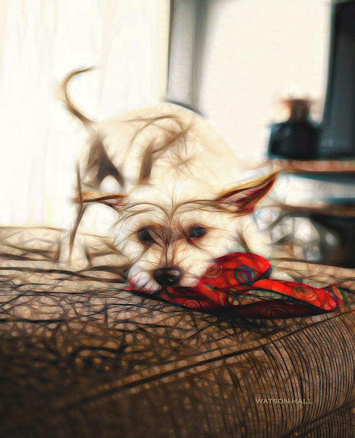 Cheeky Terrier Digital Art by Marlene Watson