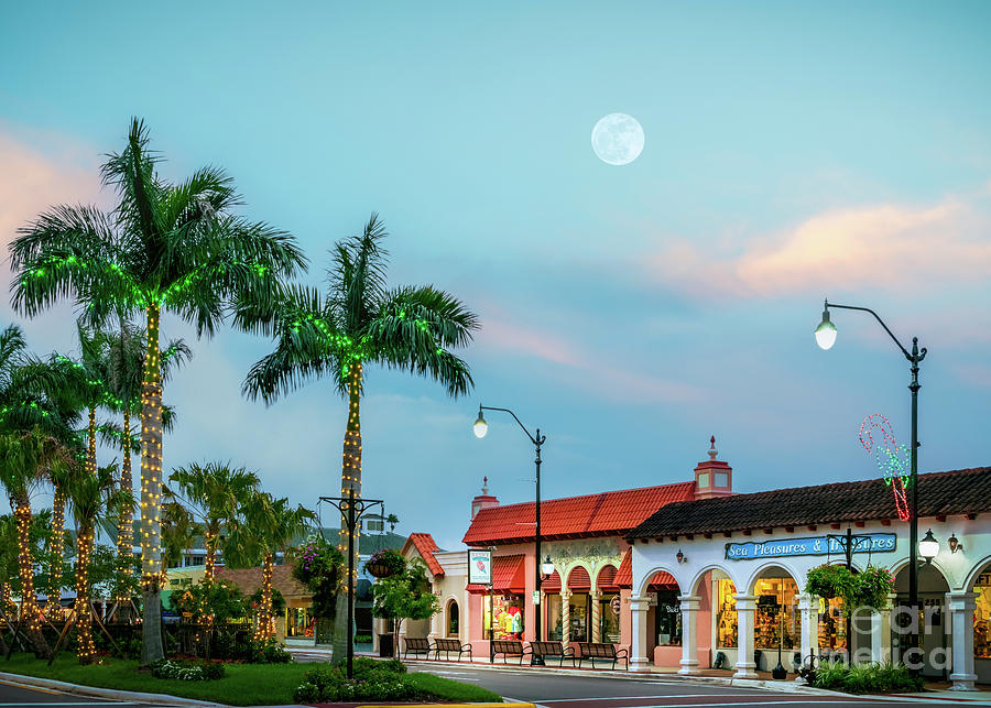 Ice Cream Photograph - Cheerful Christmas Morning in Venice, FL by Liesl Walsh