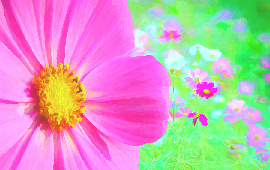Cheerful Cosmos Garden Digital Art by Susan Hope Finley