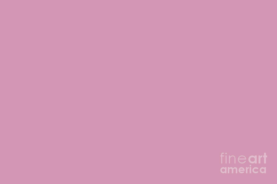 Cheerful Dark Pastel Pink Solid Color Pairs To Sherwin Williams Haute Pink SW 6570 Digital Art by PIPA Fine Art - Simply Solid