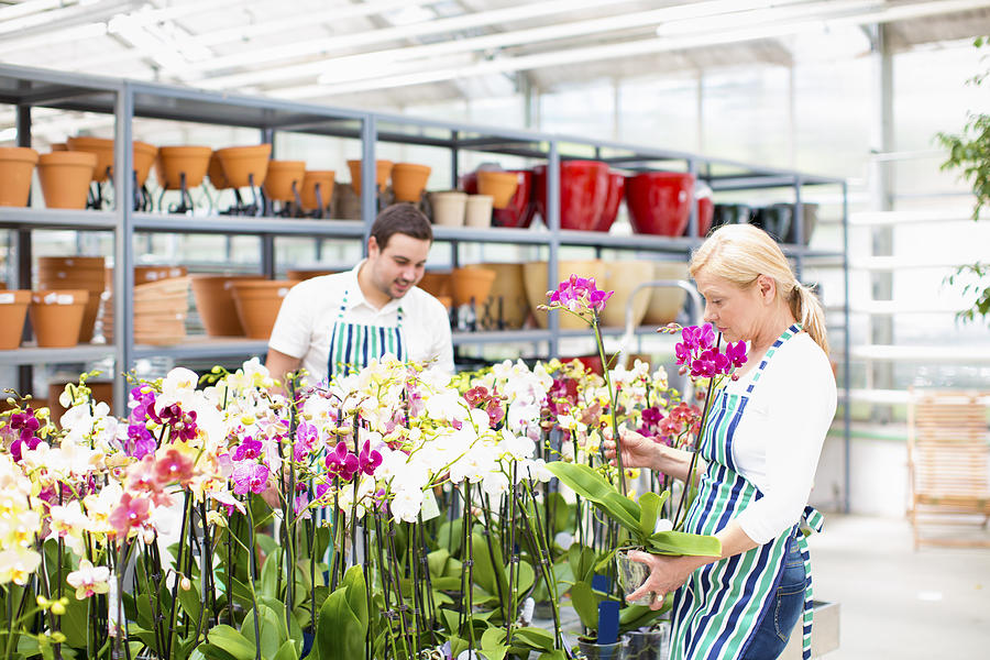 Cheerful Florists Working At Garden Center. Photograph by Vgajic